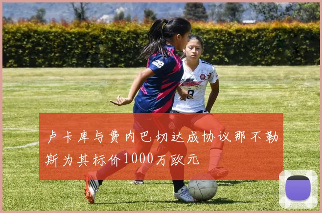 卢卡库与费内巴切达成协议那不勒斯为其标价1000万欧元